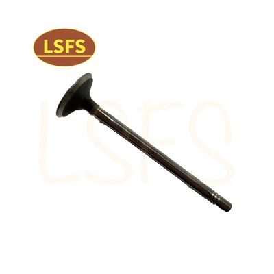 G10 MPV válvula de admisión personalizada para Maxus D90 G20 T60 OEM C00111120